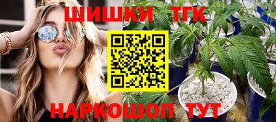 МДПВ Краснознаменск