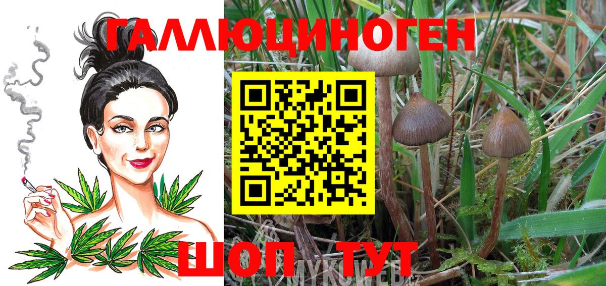 Псилоцибиновые грибы MAGIC MUSHROOMS Ангарск