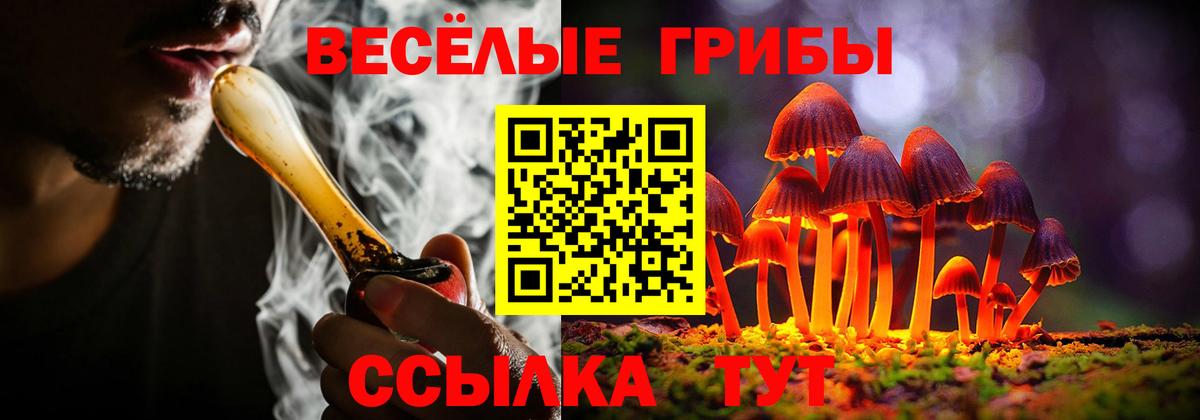 Псилоцибиновые грибы Psilocybine cubensis  Вход с VPN  Галлюциногенные грибы мицелий  Ангарск 